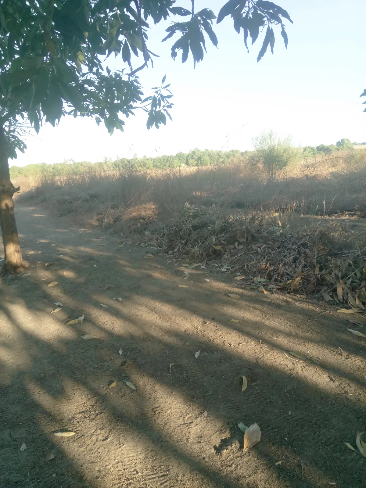 Tany amidy belinta mahajanga — photo 2
