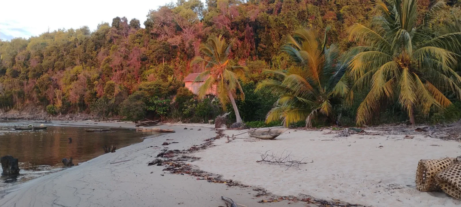 Terrain a vendre Anjagnozagno Antanibe Andrefa — photo 3